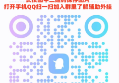 5分钟找到多乐跑胡子第三方辅助器(揭秘小程序必备神器)